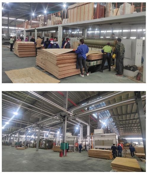 開年開好局，大王椰家具板渠道發力氣勢如虹，網絡服務賦能新增長